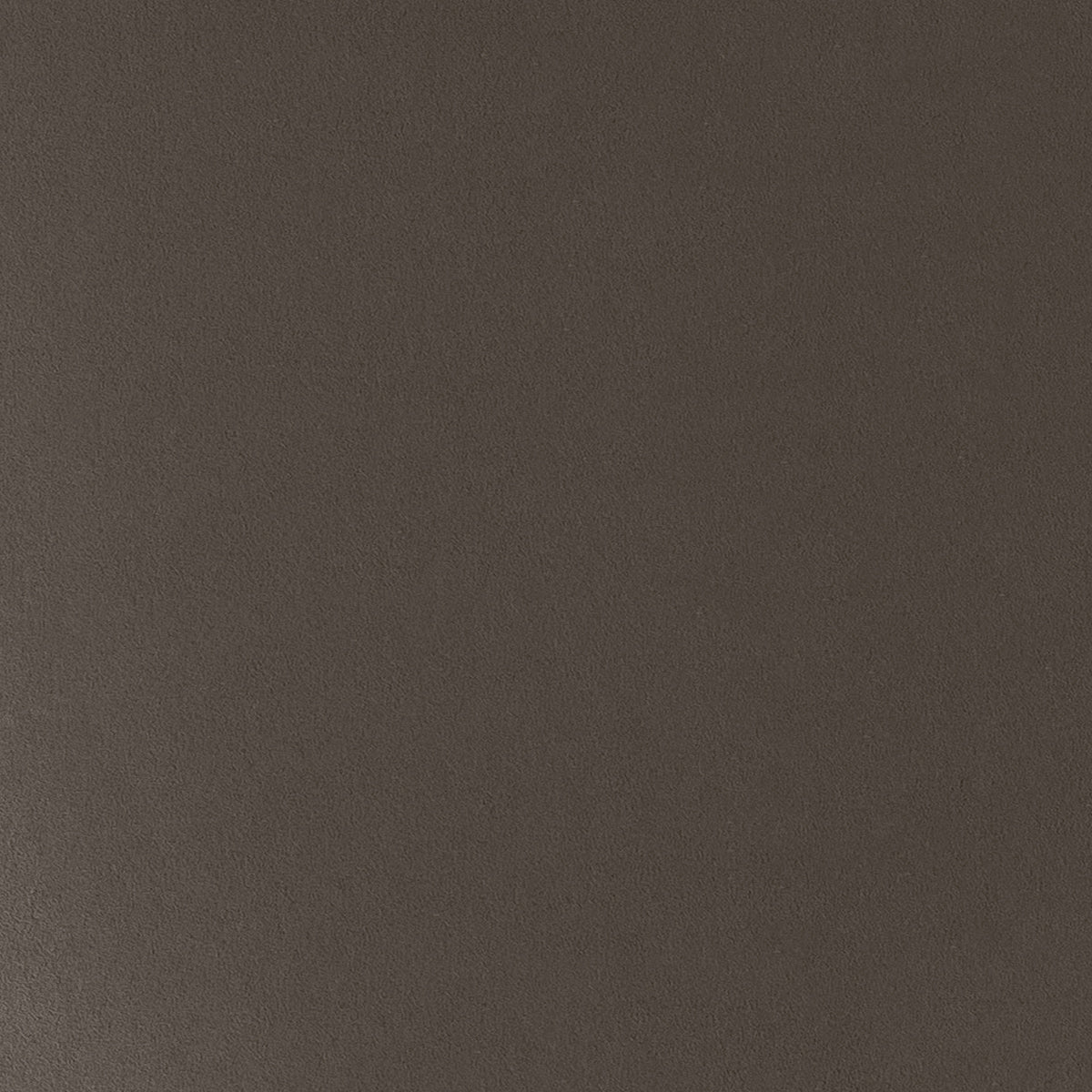 Sample of the Basic facade, Evolution Laminate truffle 