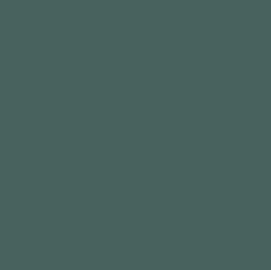 Color sample foggy forest 162